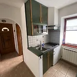 Apartmaji Soca *