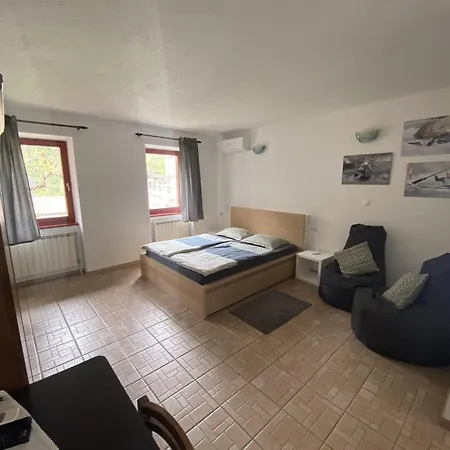 Apartmaji Soca *